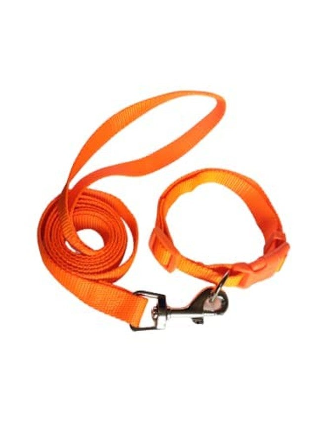 Pups&Pets 10MM Nylon Plain Strip Pattern Heavy Hook Leash with Adjustable Buckle Neck Collar Belt Ideal for Outdoor Training/Walking Dogs and Puppies (Orange) - Image 5